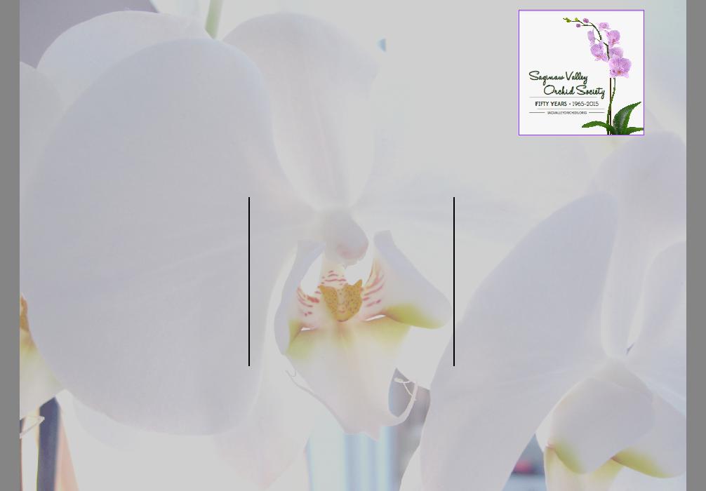 Flower8